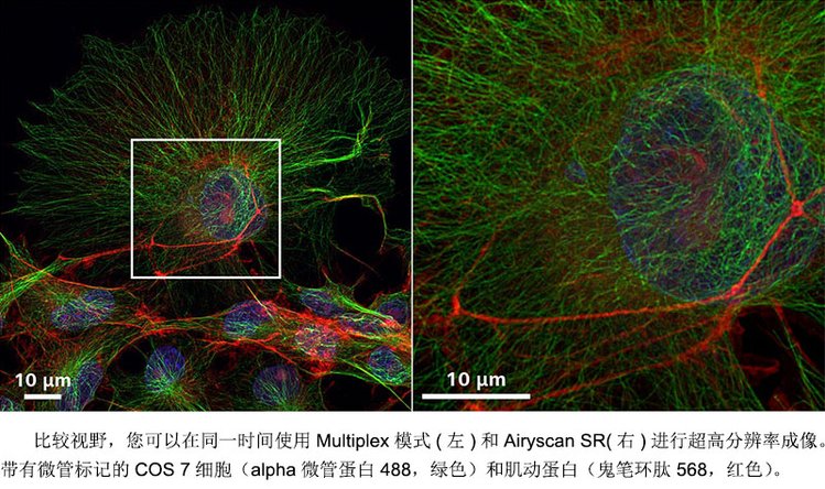 梅州共聚焦显微镜