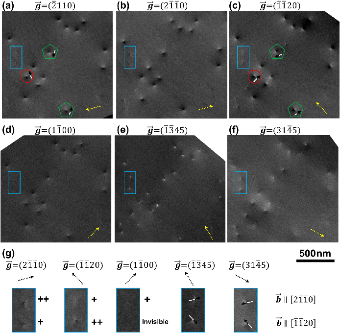 场发射梅州扫描电镜