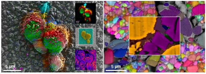 1696905160719761.jpg 360截图20231010103224463.jpg