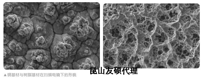 梅州蔡司梅州扫描电镜